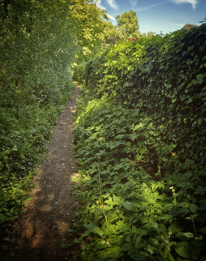 Der Nixenweg im Sommer 2026